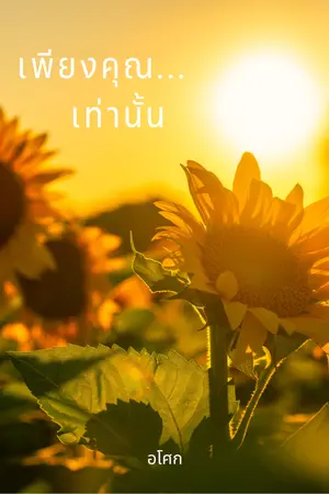ปกนิยาย เพียงคุณเท่านั้น [E-book มาแล้วค่ะ]