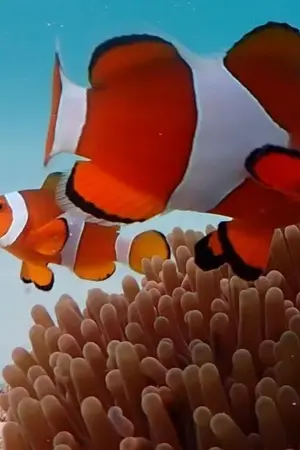 ปกนิยาย กว่าจะได้หัวใจของเธอมาครอง