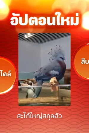 ปกนิยาย สะใภ้ใหญ่สกุลฮัว