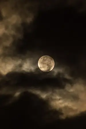 ปกนิยาย ผี ปีศาจ โลก  คนเป็น