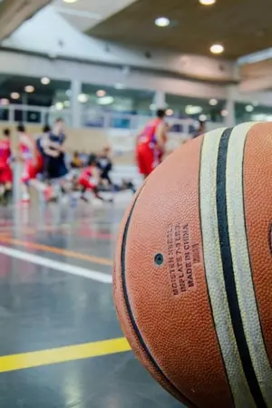 ปกนิยาย SEC 3월 광기 예측 및 배당률