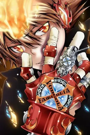 ปกนิยาย [Tsuna × Oc] I see the light