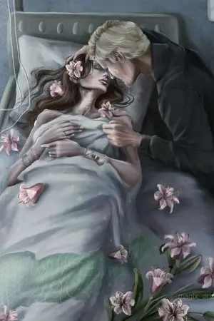 ปกนิยาย ไดอารี่ของคุณชายมัลฟอย