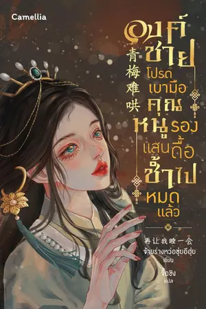 ปกนิยาย