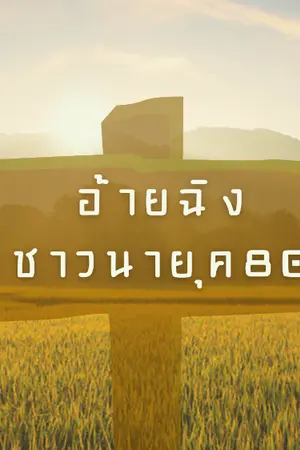 ปกนิยาย อ้ายฉิงชาวนายุค80