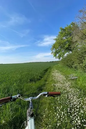 ปกนิยาย หนี้ร้ายนางบำเรอ (พระเอกธงแดง)