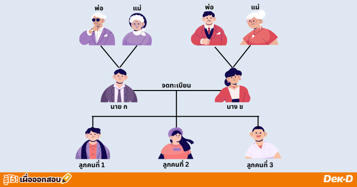 ตัวอย่างที่ 1 การแบ่งมรดก 