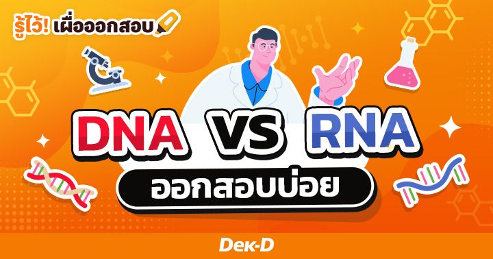 DNA กับ RNA ต่างกันอย่างไร? ออกสอบบ่อย