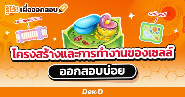 โครงสร้างและการทำงานของเซลล์ ออกสอบบ่อย
