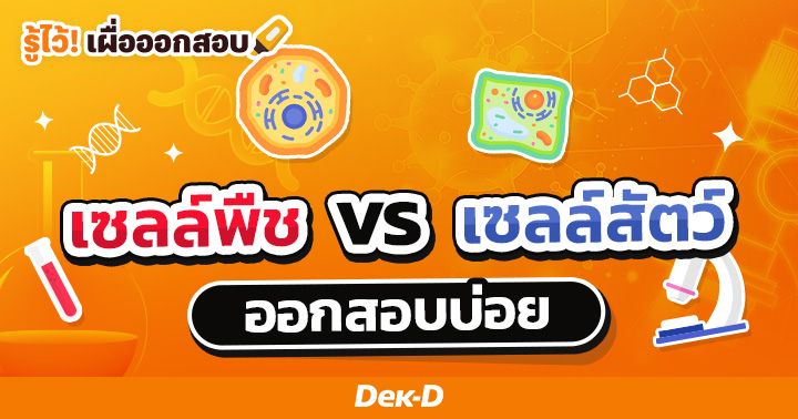 เซลล์พืช vs เซลล์สัตว์ ต่างกันอย่างไร? ออกสอบบ่อย