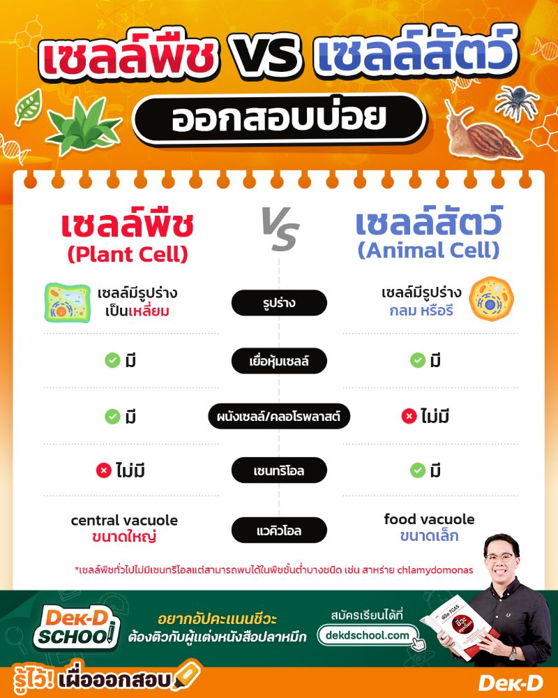 เซลล์พืช  vs เซลล์สัตว์  ต่างกันอย่างไร