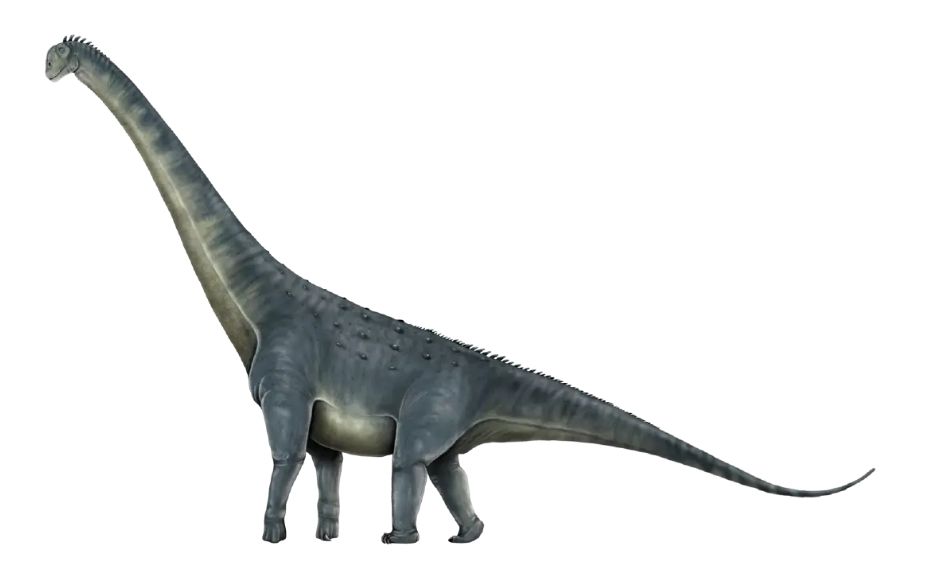 นาคาไททัน ชัยภูมิเอนซิส (Nagatitan chaiyaphumensis) 