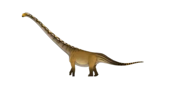 อุรคาซอรัส กาฬสินธุ์เอนซิส (Uragasaurus kalasinensis) 