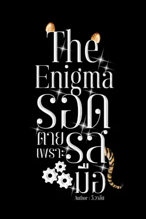 ปกนิยาย The Enigma รอดตายเพราะรสมือ