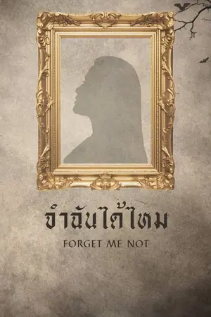 ปกนิยาย จำฉันได้ไหม (Forget me not)