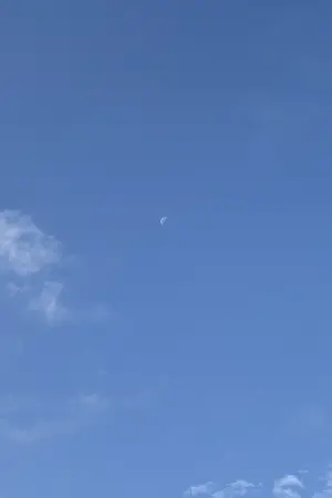 ปกนิยาย ลองรักดูก็ได้