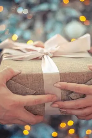 ปกนิยาย เสียงสะท้อนจากอนาคต