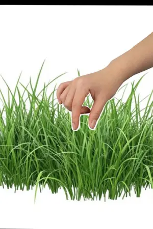 ปกนิยาย Fanfic [MHA] Please touch some grass.