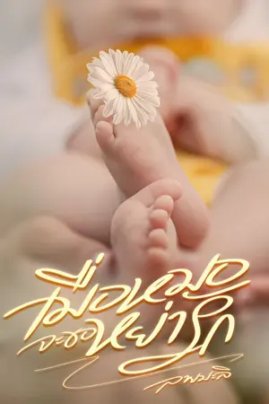 ปกนิยาย (E-book ขายใน Meb)เมื่อหมอจะขอหย่ารัก