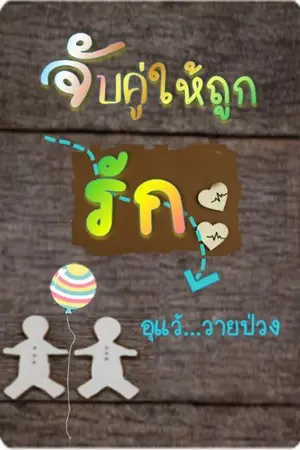 ปกนิยาย จับคู่ให้ถูกรัก