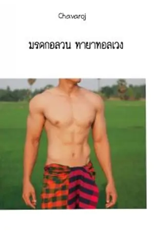 ปกนิยาย มรดกอลวน ทายาทอลเวง