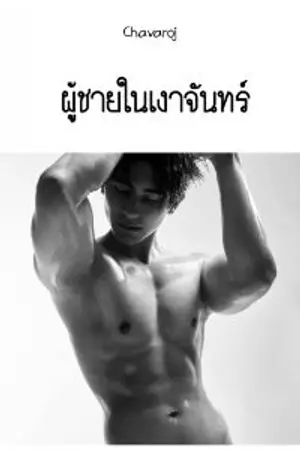 ปกนิยาย ชายในเงาจันทร์