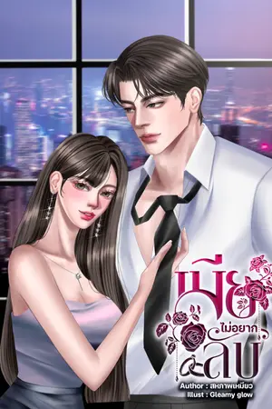 ปกนิยาย เมียไม่อยากลับ