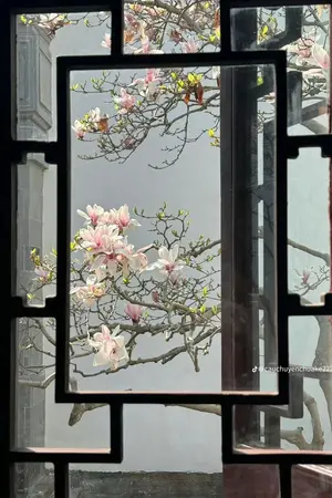 ปกนิยาย เเพทย์น้อยชาวสวน