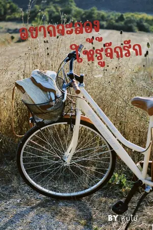 ปกนิยาย อยากจะลองให้รู้จักรัก
