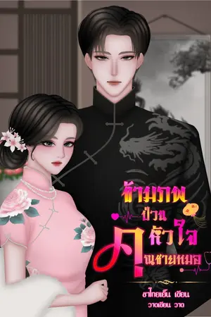 ปกนิยาย
