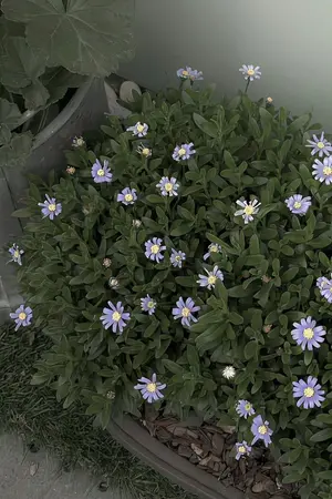 ปกนิยาย สุดขอบกาแลกซีไร้แสง ภาคผู้ปกป้องเดลูเชี่ยน