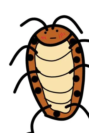 ปกนิยาย พลพรรคนัดมากาว