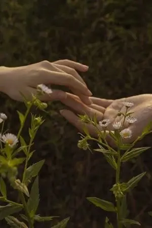 ปกนิยาย ( harry potter ) of candlelights, greenhouses, and your sun-kissed smile
