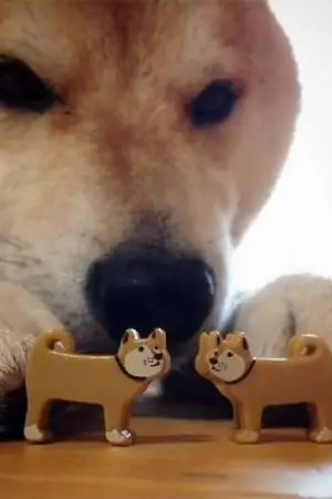 ปกนิยาย Fanfic [ Omniscient Reader's Viewpoint ] ดกจุงสิวะ!