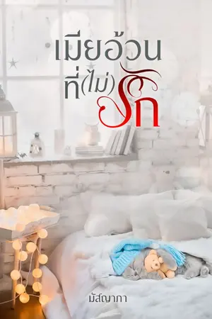 ปกนิยาย เมียอ้วนที่(ไม่)รัก (มีe-book)