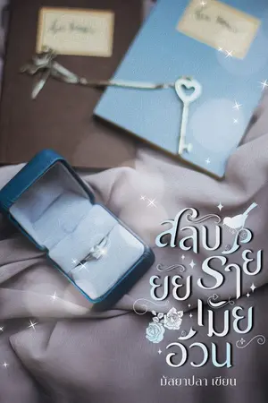 ปกนิยาย สลับร้าย ยัยเมียอ้วน