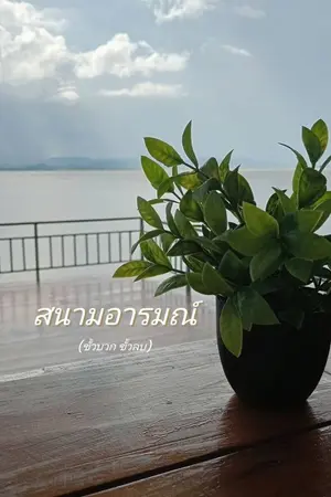ปกนิยาย สนามอารมณ์ (ขั้วบวก ขั้วลบ)