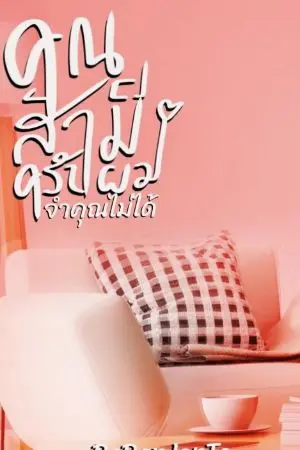 ปกนิยาย คุณสามีครับผมจำคุณไม่ได้
