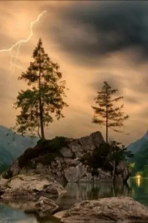 ปกนิยาย (Fic Harry potter) ฮอกวอตส์และทายาทแห่งเฟอร์เดลันกับพันธะสัญญาแห่งรัก