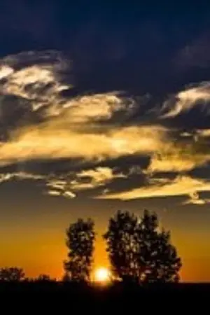 ปกนิยาย Fic Harry potter โลกหลังสงครามฮอกวอตส์ของเดแคลน