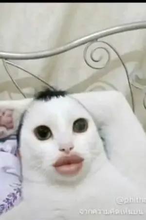 ปกนิยาย ว่างจัด