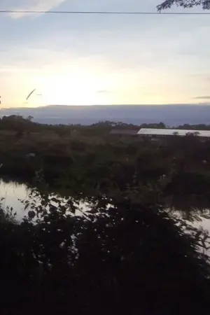 ปกนิยาย ใต้ต้นไม้ใหญ่ที่ร่มเย็น