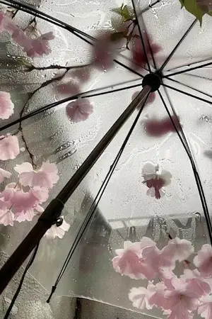 ปกนิยาย [ Sakamoto days ] #เบญจเพสฉบับเร่งรัด: แพ็กเกจทดลองใช้ฟรีตอนอายุสิบเก้า