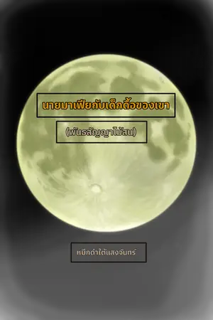 ปกนิยาย นายมาเฟียกับเด็กดื้อของเขา (พันธสัญญาไม้สน)
