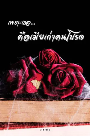 ปกนิยาย