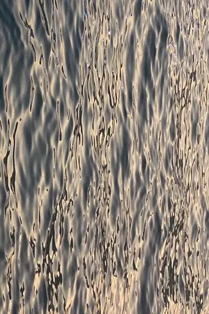 ปกนิยาย เหนือณธีร์ (Omegaverse)