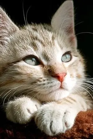 ปกนิยาย แค่อยากหาเงิน