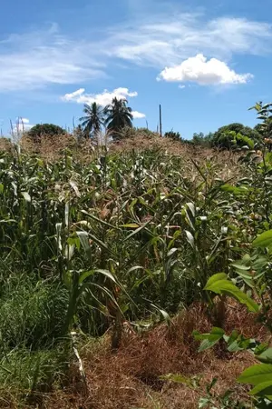 ปกนิยาย ทะลุมิติมากับครอบครัว