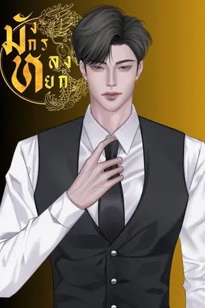 ปกนิยาย มังกรหลงหยก [มีE-book]