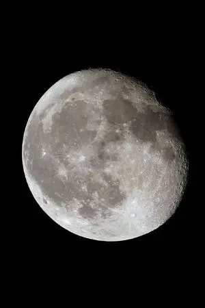 ปกนิยาย ไอ้หมูเขี้ยวตัน